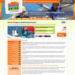 AVIVA - Volunteer in South Africa - Penguin Conservation Project - Cape Town