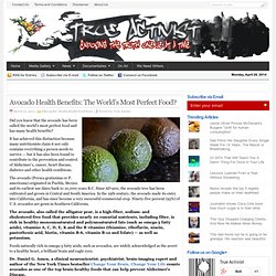 Avocado Health Benefits: The World’s Most Perfect Food?