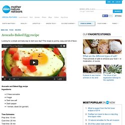 Recipe: Avocado-Baked Egg