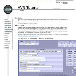 AVR Tutorial - Fuses