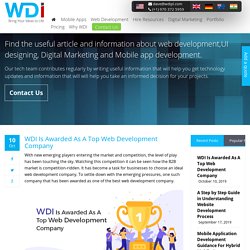 WDI Is Awarded As A Top Web Development Company