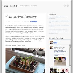 20 Awesome Indoor Garden Ideas
