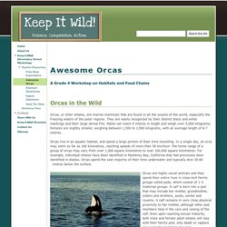 Awesome Orcas - Keep It Wild!