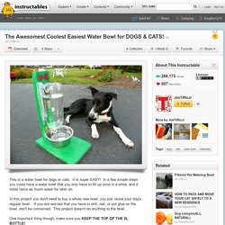 The Awesomest Coolest Easiest Water Bowl for DOGS & CATS!