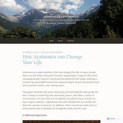 How Ayahuasca can Change Your Life – Ayahuasca Ceremonies