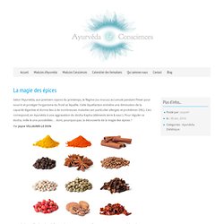 Ayurvéda & Consciences, formation en Ayurvéda » La magie des épices