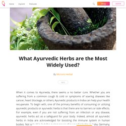 What Ayurvedic Herbs are the Most Widely Used?