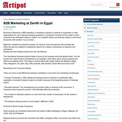 B2B Marketing at Zenith in Egypt