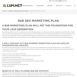 B2B Marketing: LUM.NET Internet Strategies