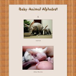 Baby Animal Alphabet