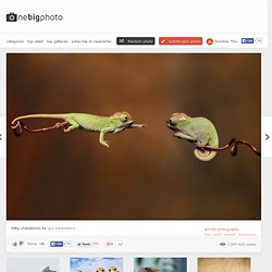 one big photo - StumbleUpon