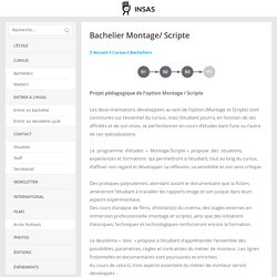 Bachelier Montage/ Scripte - INSAS