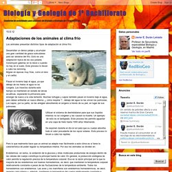 Biología y Geología de 1º Bachillerato: Adaptaciones de los animales al clima frío