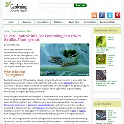 Bacillus Thuringiensis Products – Tips For Using Bt In The Garden