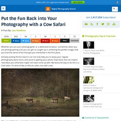 Put the Fun Back into Your Photography with a Cow Safari