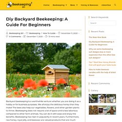 Diy Backyard Beekeeping: A Guide For Beginners