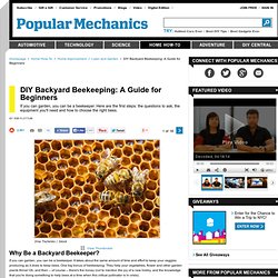 DIY Backyard Beekeeping - How To Start Backyard Beekeeping