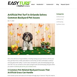 Pet-Related Backyard Problems