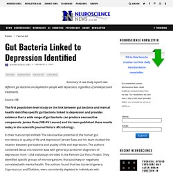 Gut Bacteria Linked to Depression Identified