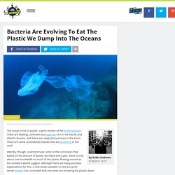Bacteria Are Evolving To Eat The Plastic We Dump Into The Oceans