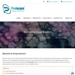 Bacteria Expression - Profacgen
