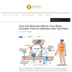 Your Gut Bacteria Affects Your Brain Function. How to Optimize Your Gut Flora