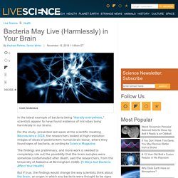 Bacteria May Live (Harmlessly) in Your Brain