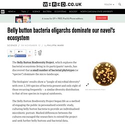 Belly button bacteria oligarchs dominate our navel's ecosystem
