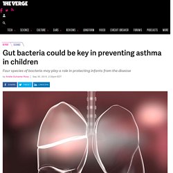 Gut bacteria could be key in preventing asthma in children