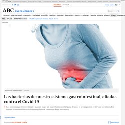 ABC.es 1/7 - Las bacterias de nuestro sistema gastrointestinal, aliadas contra el Covid-19
