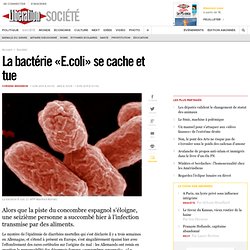La bactérie «E.coli» se cache et tue