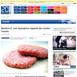 Bactérie E. coli: Spanghero rappelle des steaks hachés