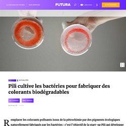 Pili cultive les bactéries pour fabriquer des colorants biodégradables