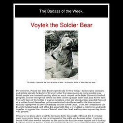 Voytek (Wojtek) the Soldier Bear