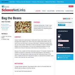 Bag the Beans
