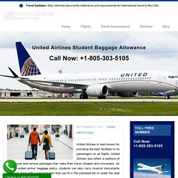 United Airlines Baggage Fees