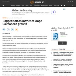 REUTERS 30/11/16 Bagged salads may encourage Salmonella growth