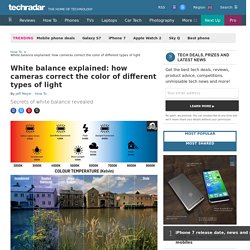 White balance explained: how cameras correct the color of different types of light