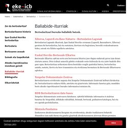 Baliabide-iturriak — Euskal kultur erakundea