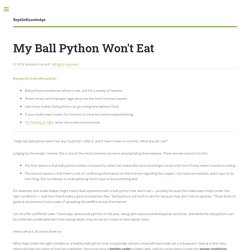My Ball Python Won't Eat, Hasn't Eaten in Months