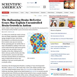 The Ballooning Brain: Defective Genes May Explain Uncontrolled Brain Growth in Autism