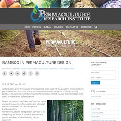 Bamboo in Permaculture Design