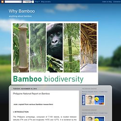 Philippine National Report on Bamboo