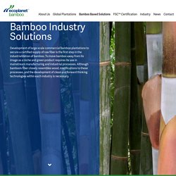 Bamboo Based Solutions from EcoPlanet Bamboo