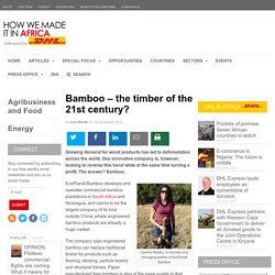 Bamboo – the timber of the 21st century?