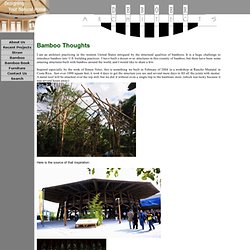 Bamboo Thoughts DeBoer Architects