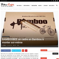 BAMBOOBEE un cadre en Bambou à monter soi-même