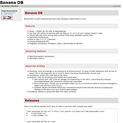 Banana DB - self-contained key/value pair database for java