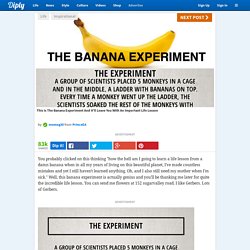This Is The Banana Experiment And It'll Leave You With An Important Life Lesson