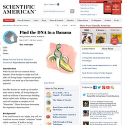 Find the DNA in a Banana